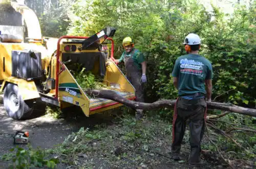 tree services Conley